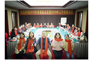 CG电子科技2018年治理层述职暨2019年工作部署会议