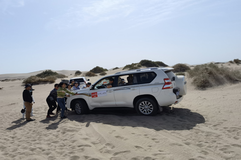 首页 - CG电子官方网站