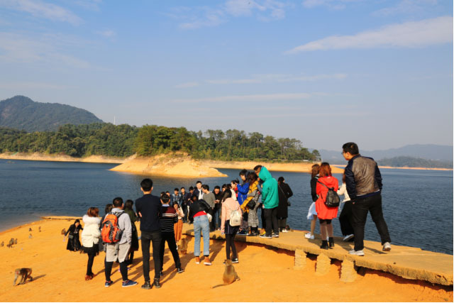 首页 - CG电子官方网站