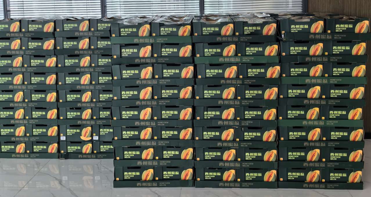 首页 - CG电子官方网站