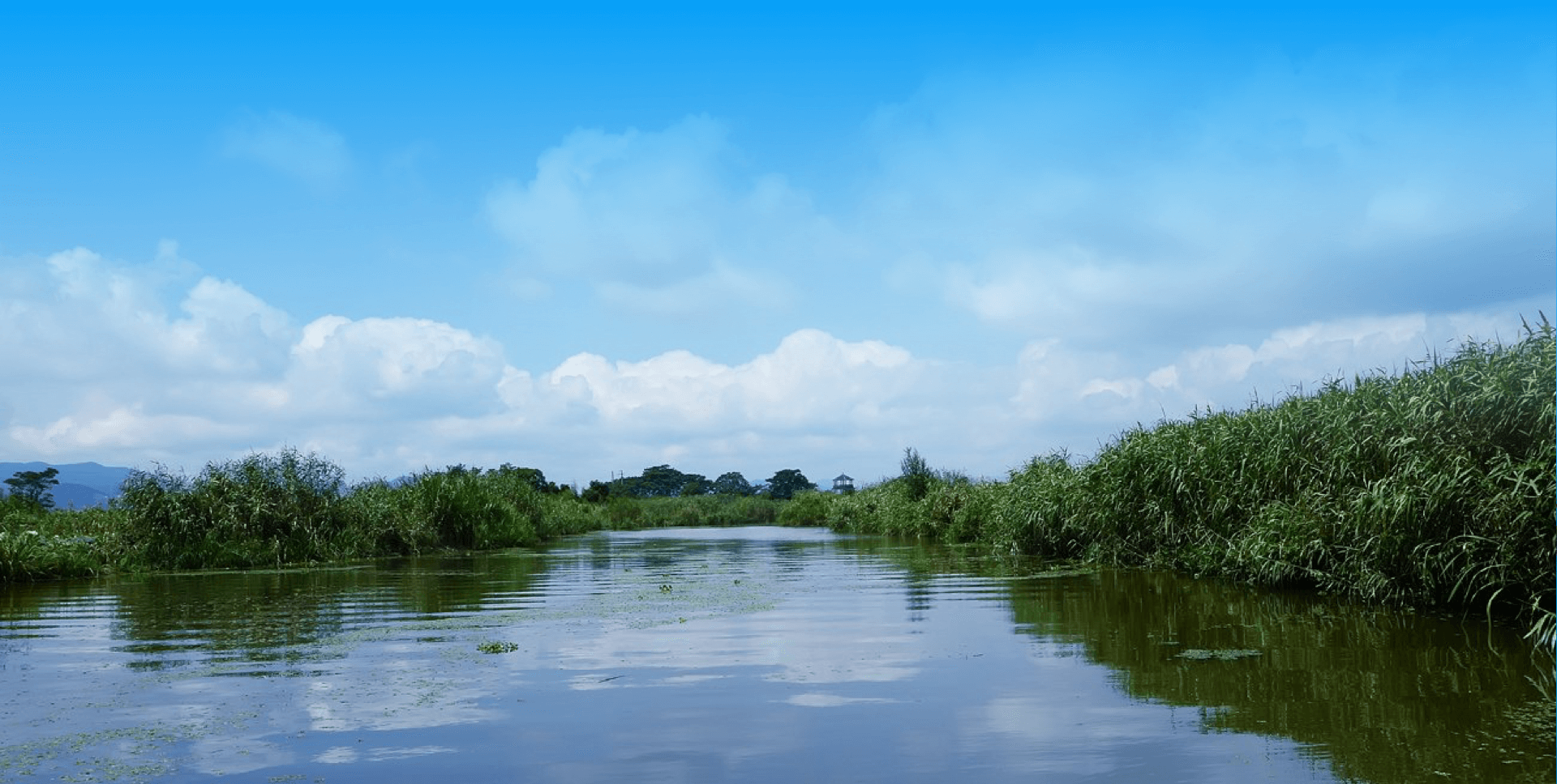 Ag亚洲集团(中国区)官方网站