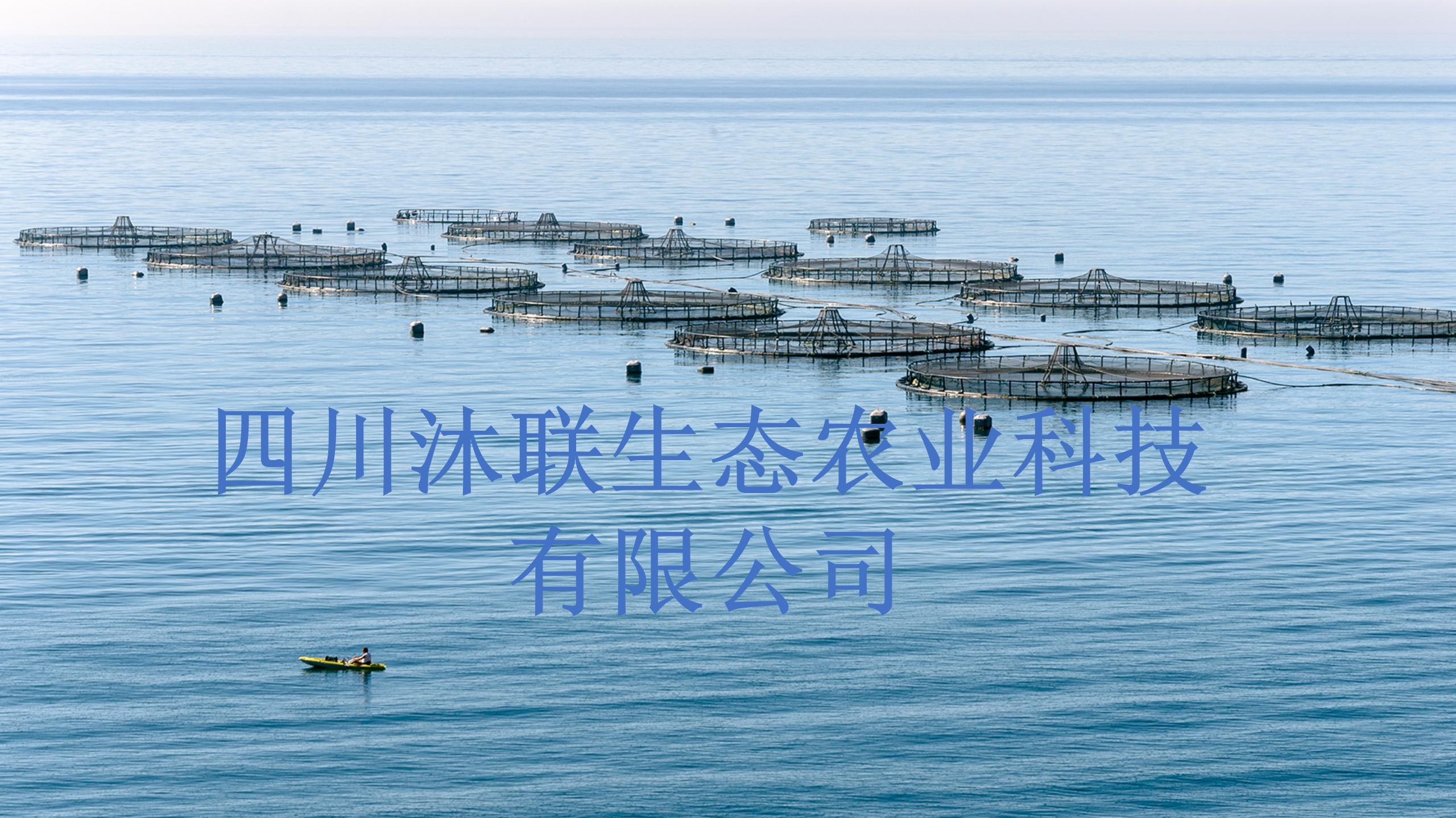 Ag亚洲集团(中国区)官方网站