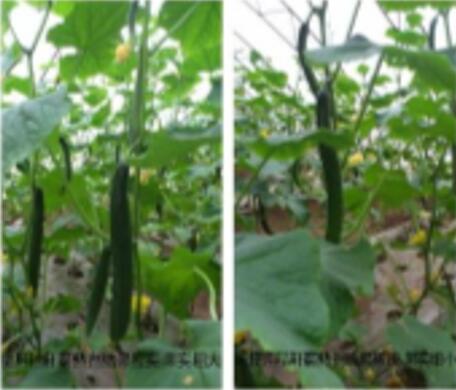 Ag亚洲集团(中国区)官方网站