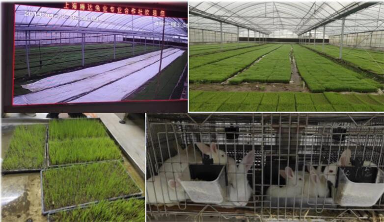 Ag亚洲集团(中国区)官方网站